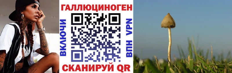 гидра вход  Новая Усмань  Псилоцибиновые грибы прущие грибы 